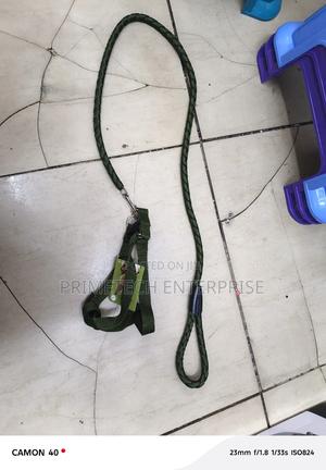 Small Sized Dog -Dog Leash - thumbnail 2