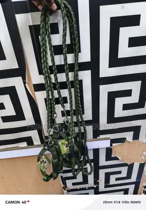 Puppy Leash and Harness