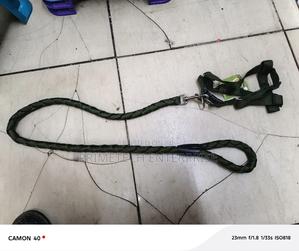Medium Size Dogleash and Harness - thumbnail 2