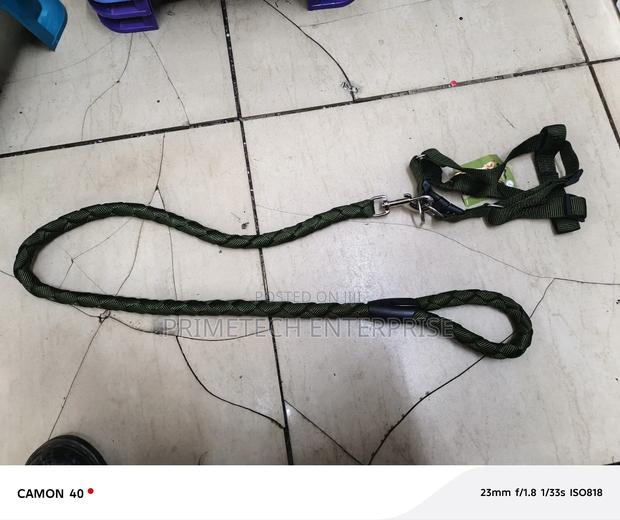 Medium Size Dogleash and Harness - main view
