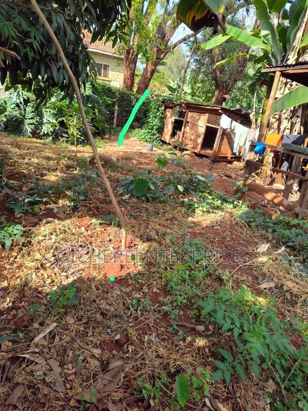 Thika Blue Post - main view