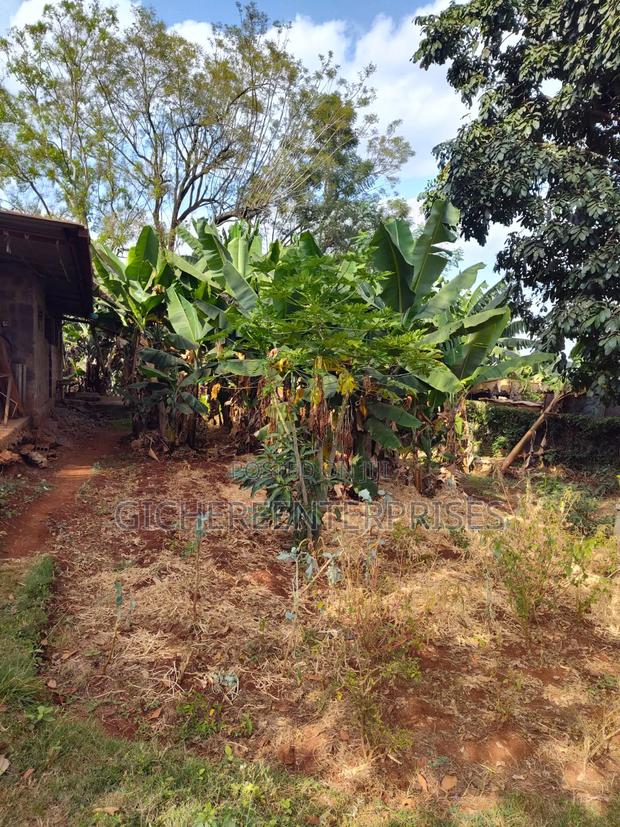 Thika Blue Post - thumbnail 3