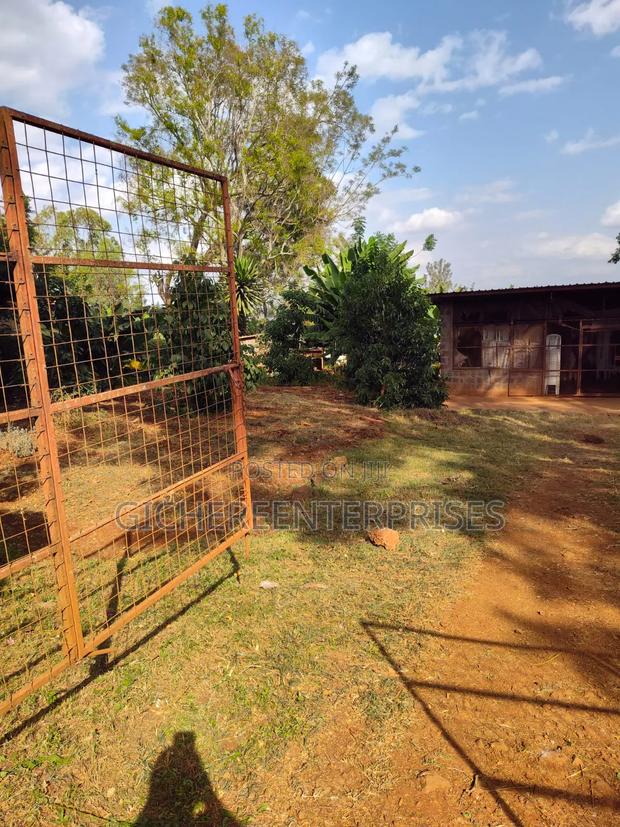 Thika Blue Post - thumbnail 4