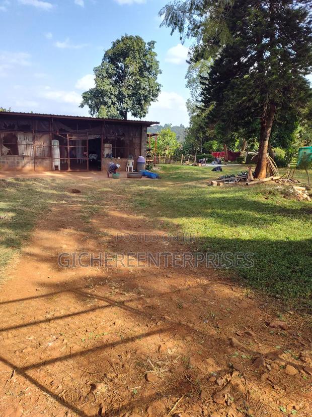 Thika Blue Post - thumbnail 7