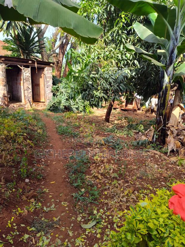 Thika Blue Post - thumbnail 8