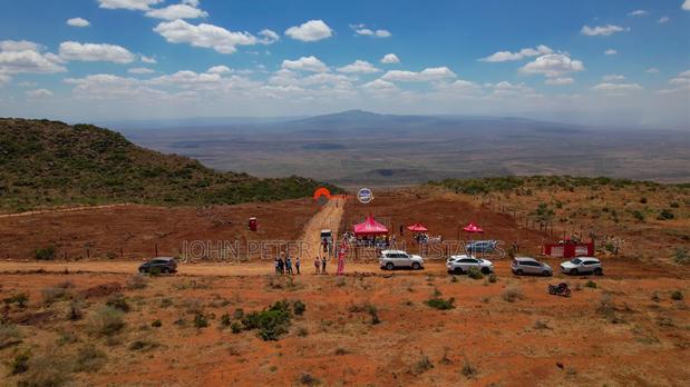 50 By 100 Plots - main view