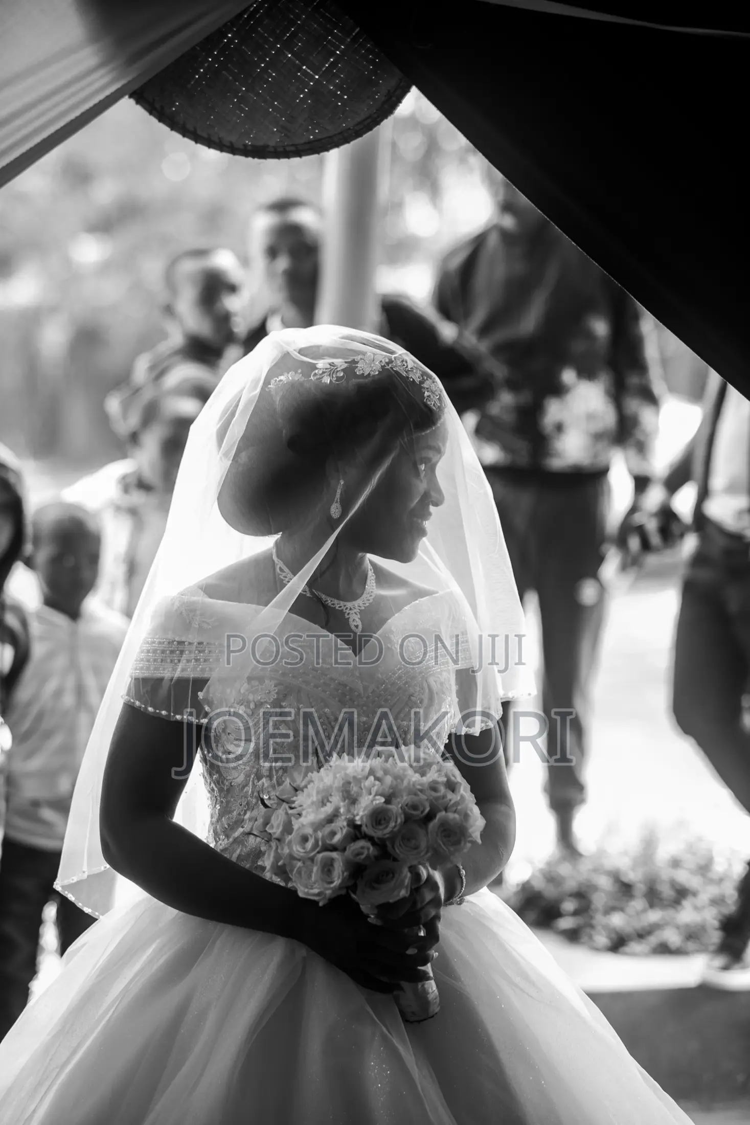Photography - Wedding Photographer-Professional