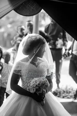 Photography - Wedding Photographer-Professional