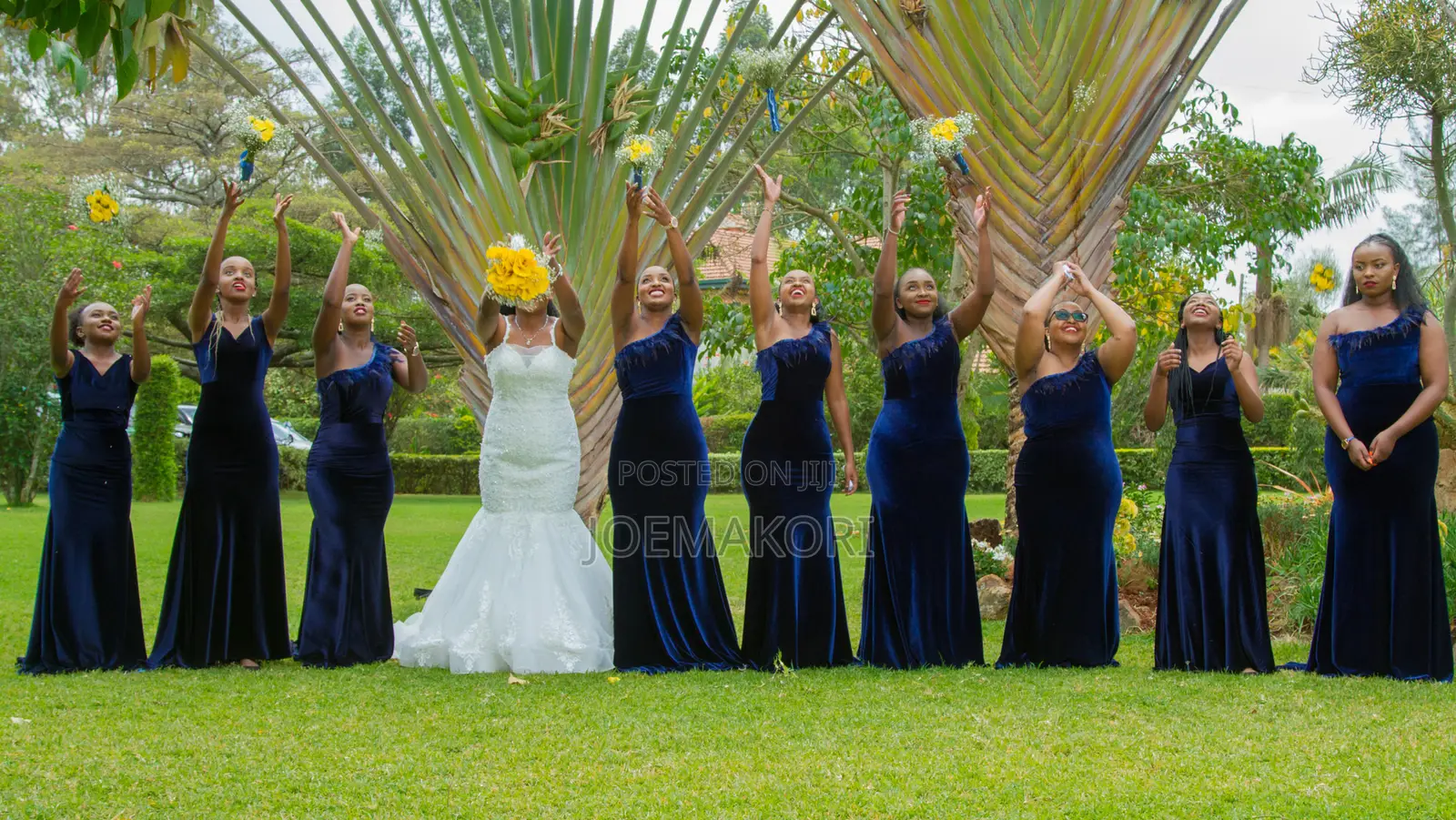 Photography - Wedding Photographer-Professional