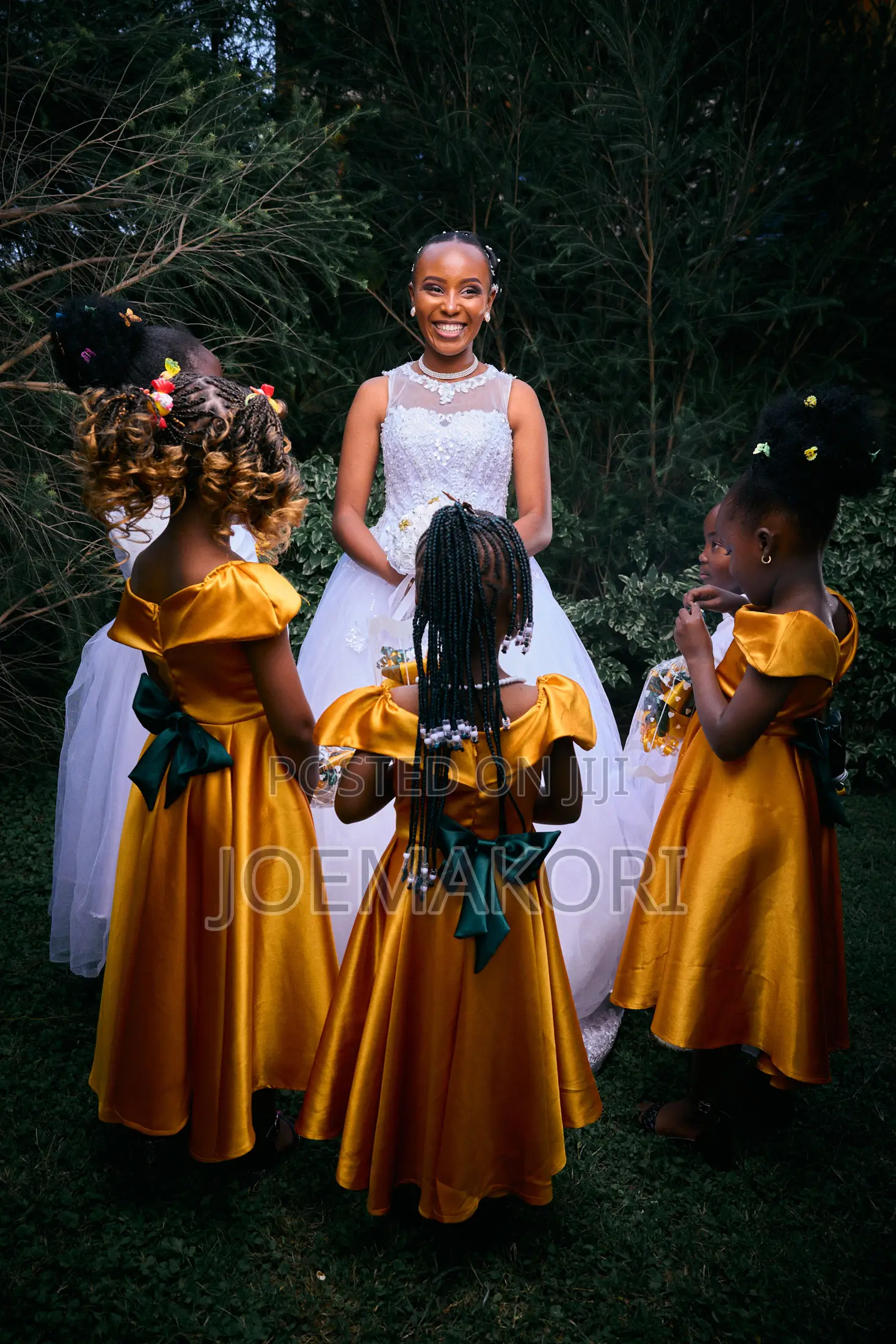 Photography - Wedding Photographer-Professional