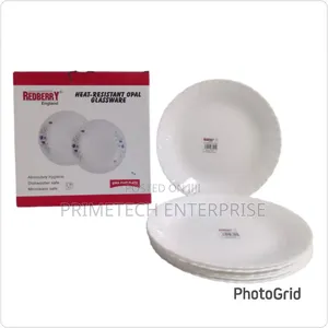 Redberry 10inches Spin Plate-6pcs