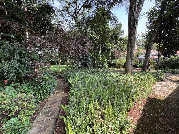 Land for Sale - thumbnail 6