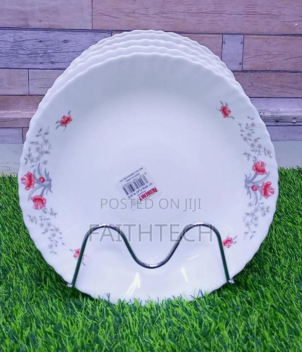 *10 Inch Redberry Plates Set Of 6pcs