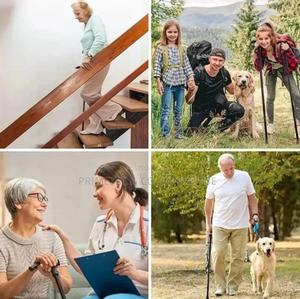 Foldable Walking Stick - main view