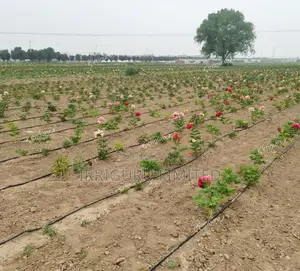 Drip Line 40cm