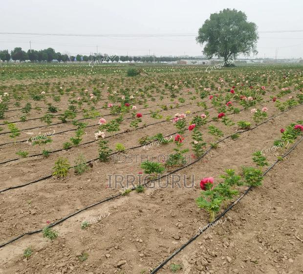 Drip Line 40cm - main view