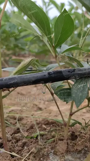Dripline 15cm, 0.3mm