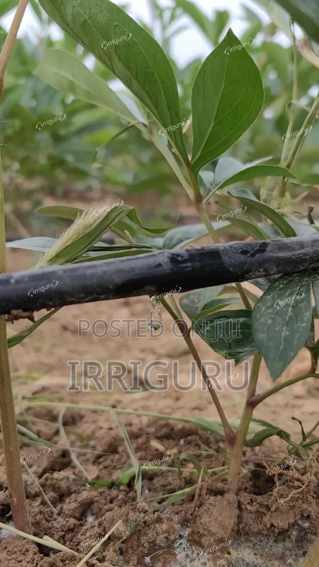 Dripline 15cm, 0.3mm - main view