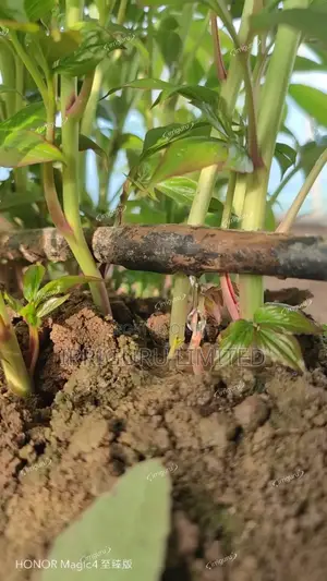 Dripline, 0.4mm 20cm