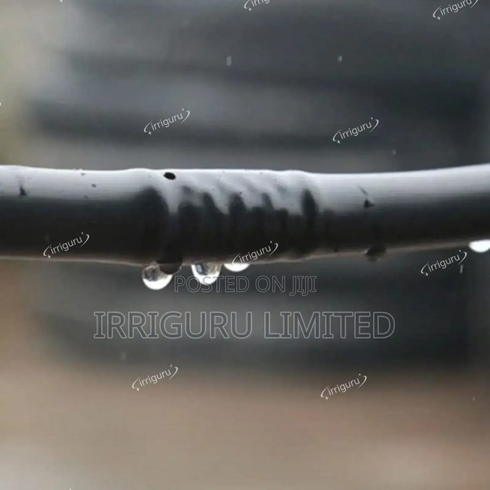 Drip Kit - Irrigation
