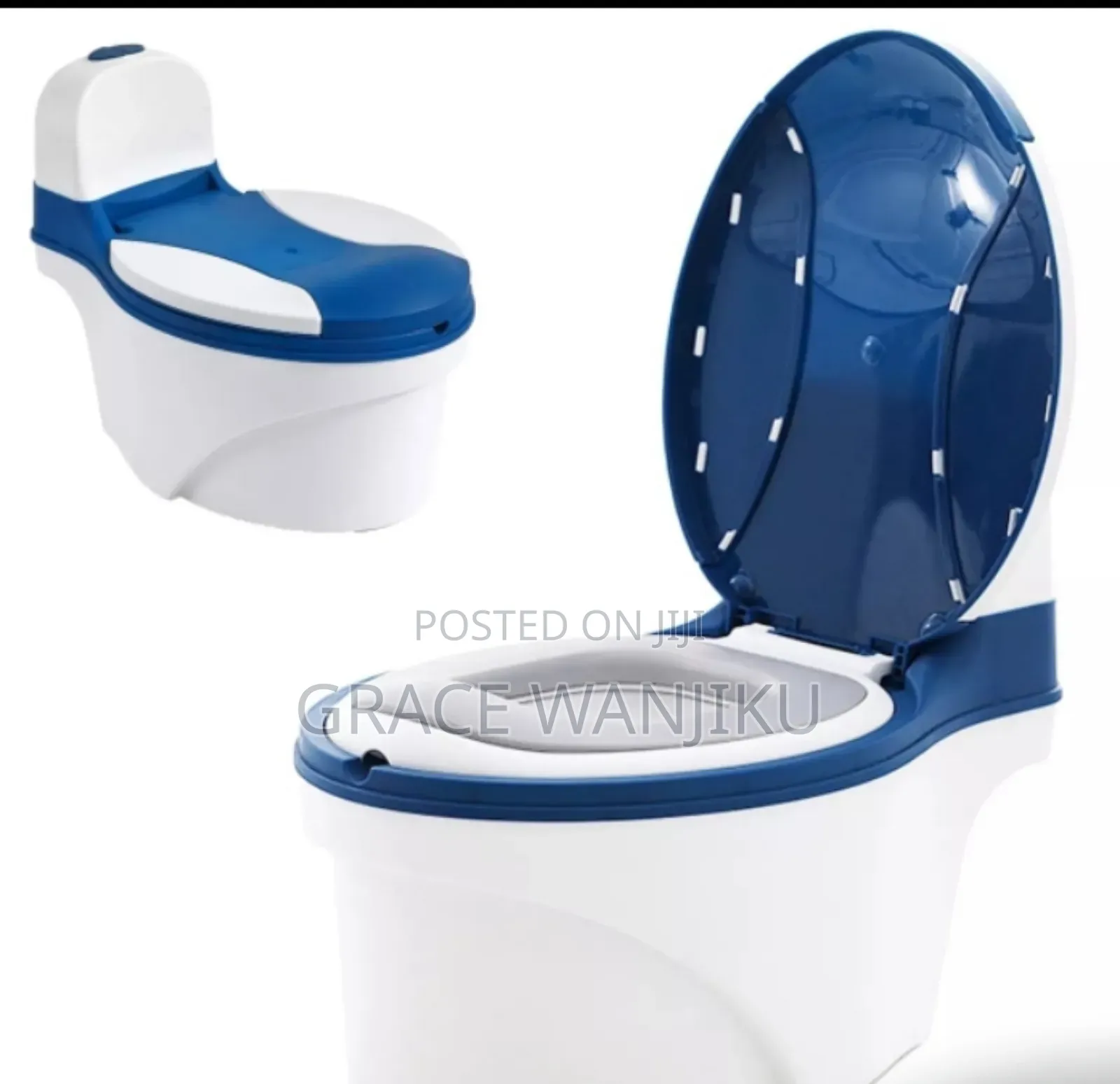*Toilet Seat Potty.