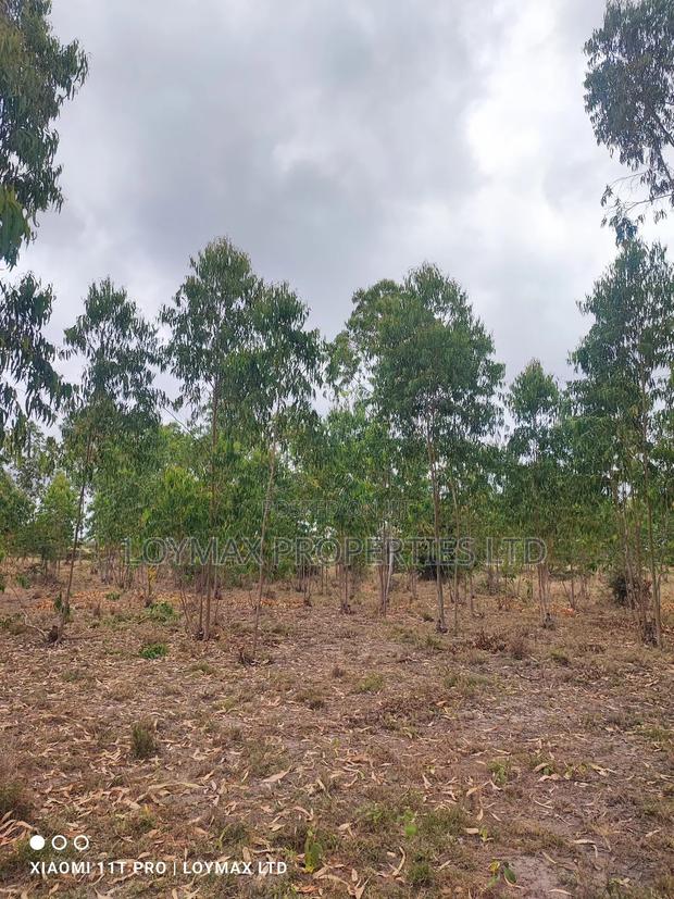 15 Acres Kisaju With Mature Blue Gum Trees. - thumbnail 7