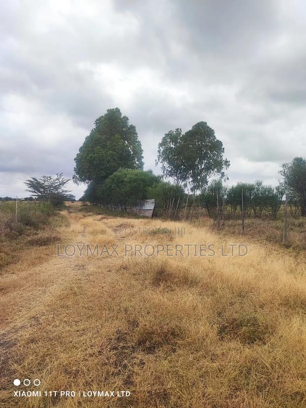 15 Acres Kisaju With Mature Blue Gum Trees. - thumbnail 8