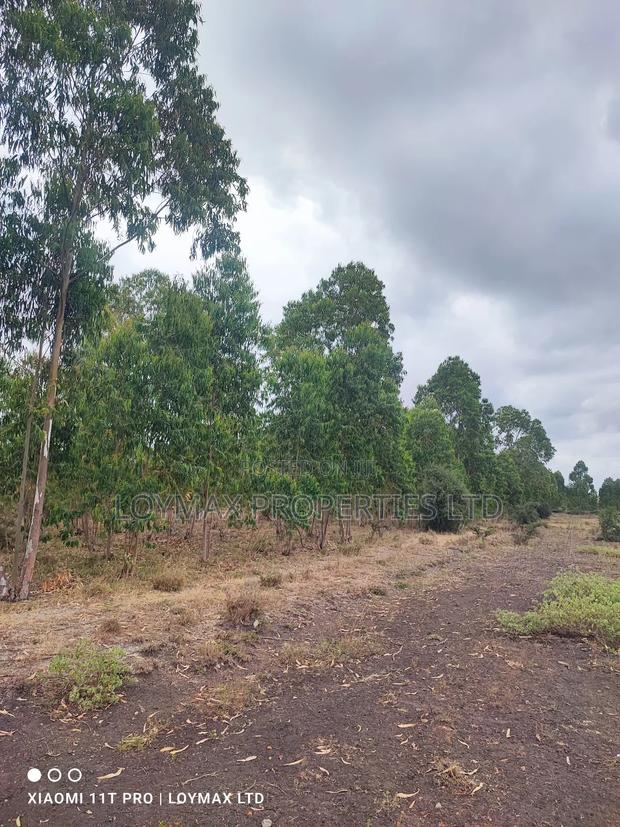 15 Acres Kisaju With Mature Blue Gum Trees. - thumbnail 9