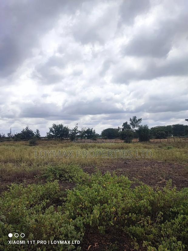 15 Acres Kisaju With Mature Blue Gum Trees. - thumbnail 10