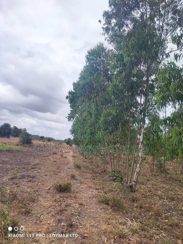 15 Acres Kisaju With Mature Blue Gum Trees. - thumbnail 12