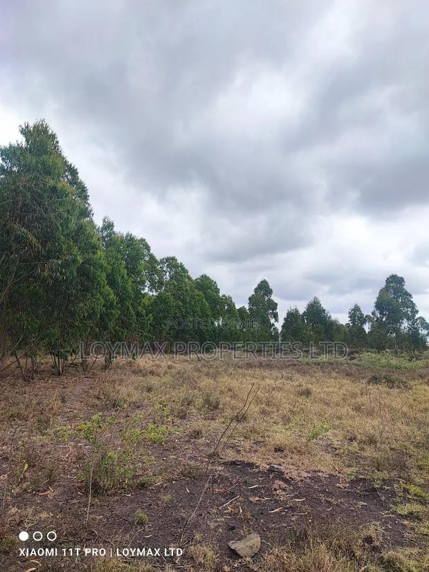 15 Acres Kisaju With Mature Blue Gum Trees. - thumbnail 14