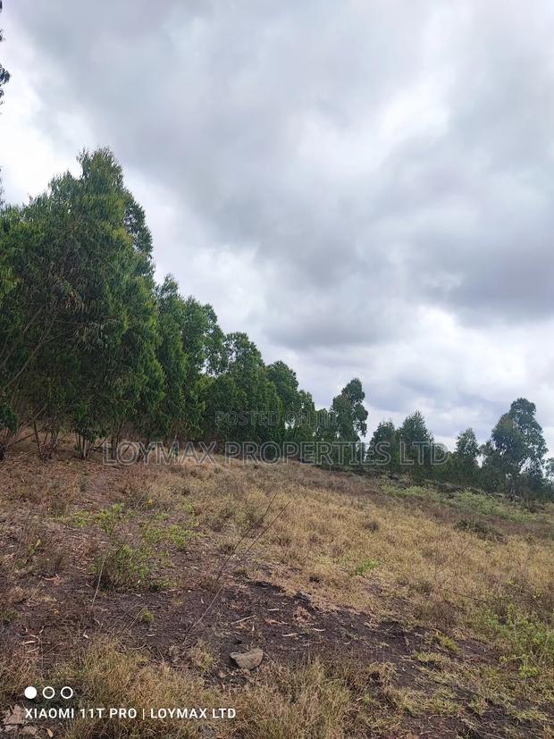 15 Acres Kisaju With Mature Blue Gum Trees. - thumbnail 15