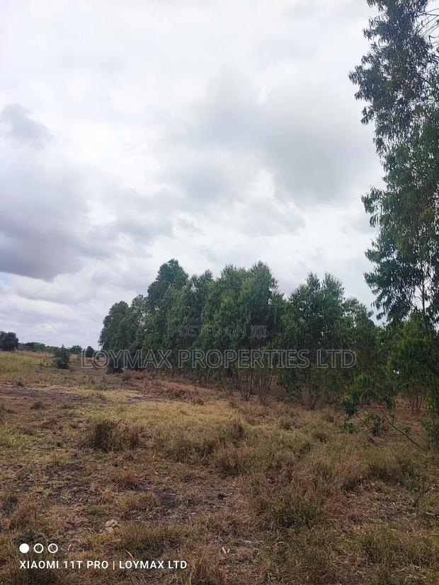 15 Acres Kisaju With Mature Blue Gum Trees. - thumbnail 16