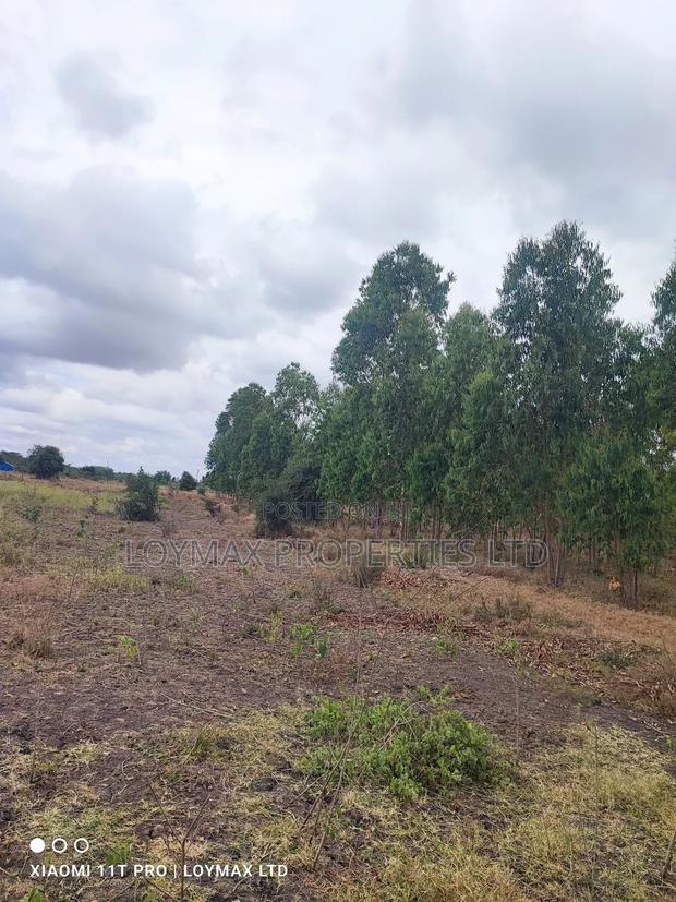 15 Acres Kisaju With Mature Blue Gum Trees. - thumbnail 17