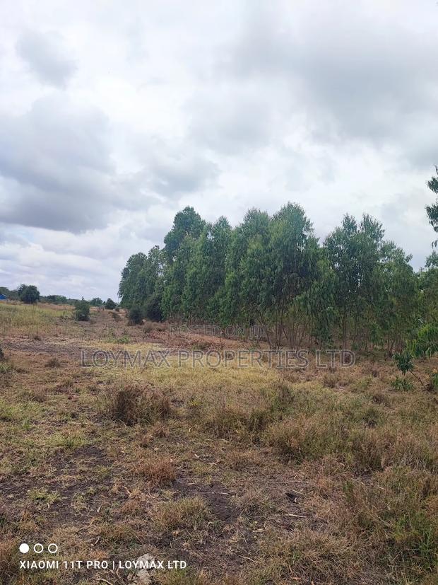 15 Acres Kisaju With Mature Blue Gum Trees. - thumbnail 18