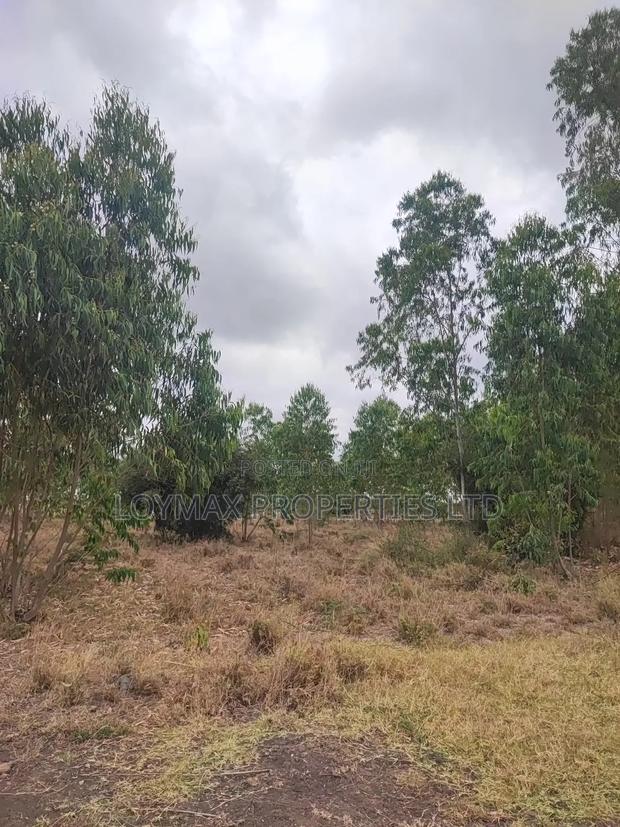 15 Acres Kisaju With Mature Blue Gum Trees. - thumbnail 19