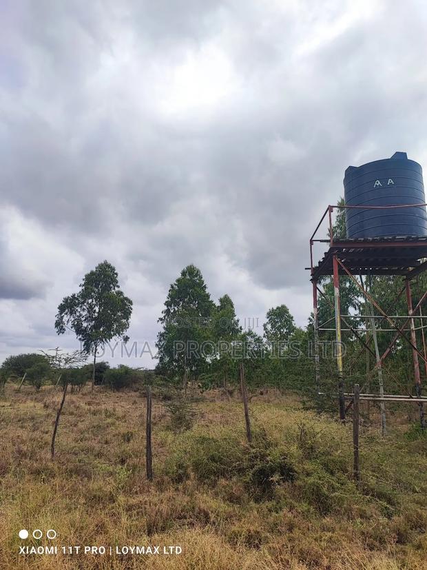 15 Acres Kisaju With Mature Blue Gum Trees. - thumbnail 20