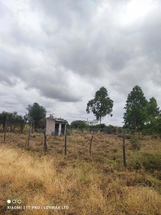 15 Acres Kisaju With Mature Blue Gum Trees. - thumbnail 21
