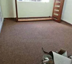 Home Friendly Wall to Wall Carpet Soft and Clean Look
