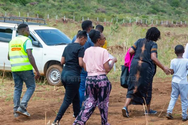 50 By 100 Plots - thumbnail 2