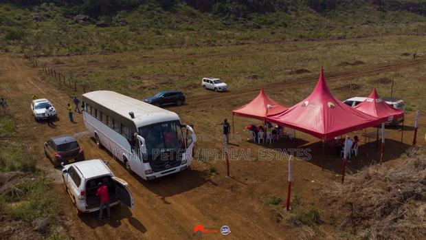 50 By 100 Plots - thumbnail 3