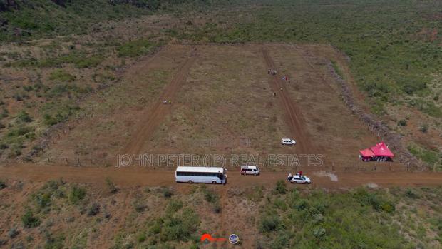 50 By 100 Plots - thumbnail 4