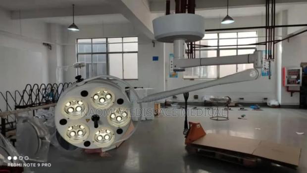 Ceiling Mounted Theatre Light - main view