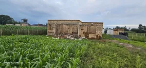 3bdrm Bungalow in Kibulgeny, Kiplombe for sale