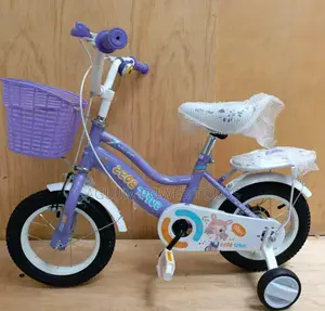 Purple Kids Bike for Girls