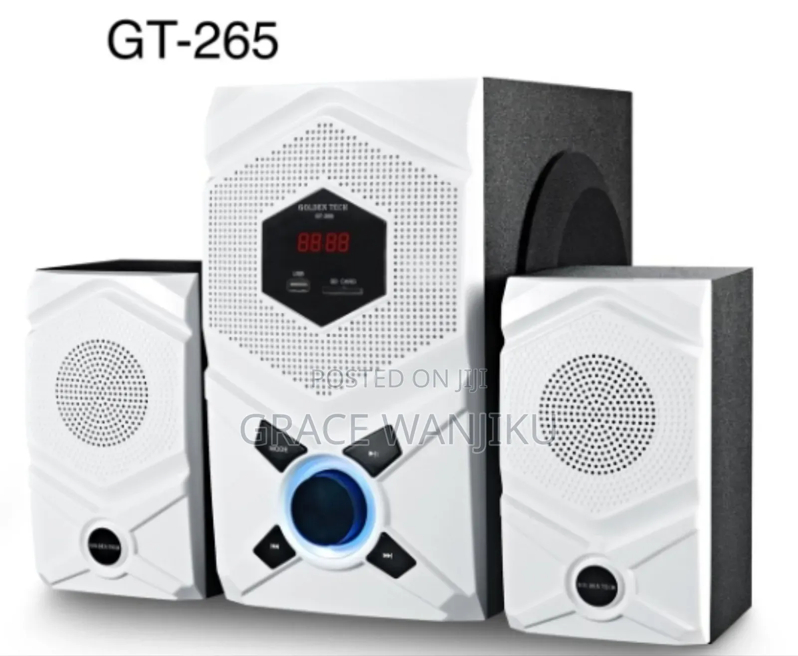 3.1 Golden Tech Multimedia Speaker