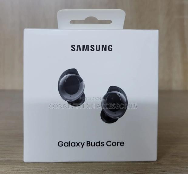 Galaxy Buds Core - main view