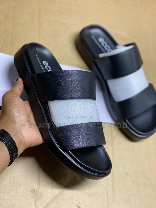 New Arrival Ecco - main view