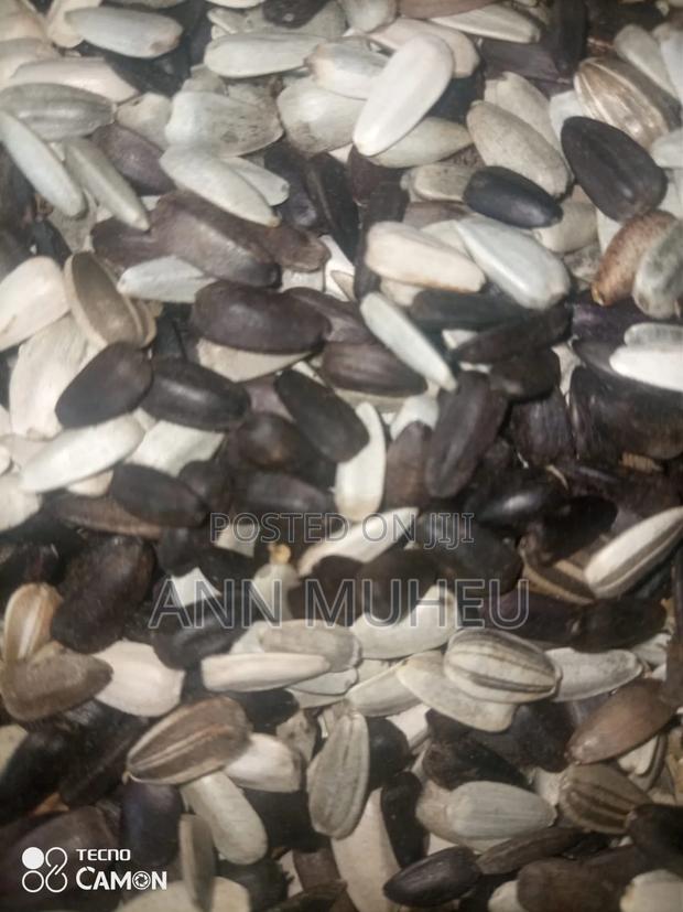 Sunflower Seeds - main view