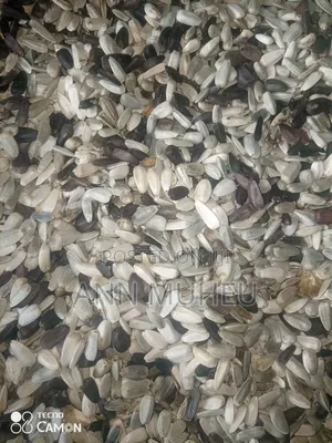 Sunflower Seeds